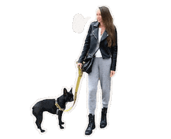 KimXo Sticker