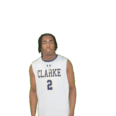 Clarke Pride Sticker by Clarke University