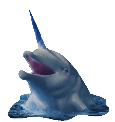 Michael Cera Dolphin Sticker by cerave