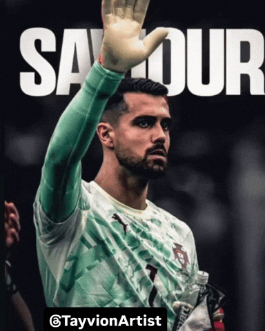 Fifa World Cup Ronaldo GIF