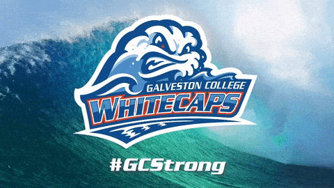 galveston whitecaps