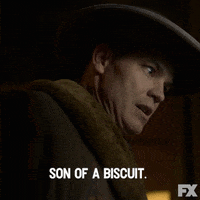 Son Of A Biscuit GIF by Fargo