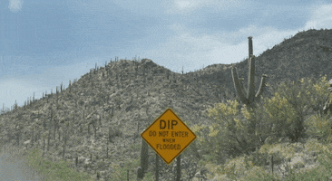 Do Not Enter Road Trip GIF by Sub Pop Records