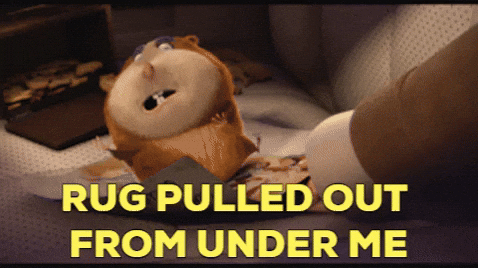 Rug Pulls in Financial Markets