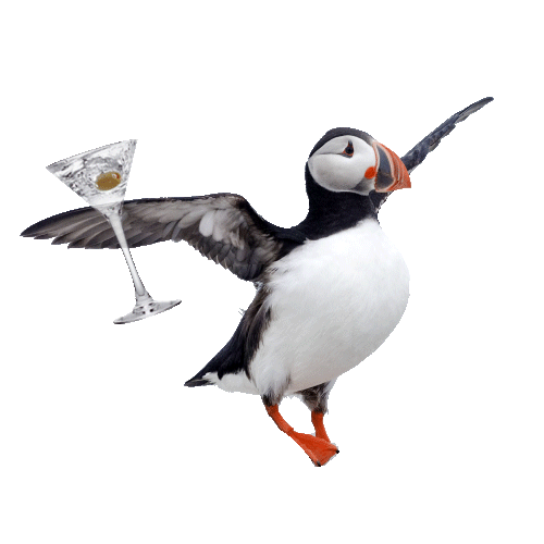 Flying Happy Hour Sticker by Reyka Vodka for iOS & Android GIPHY