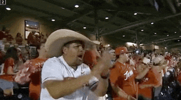 Baseball College GIF by NCAA Championships