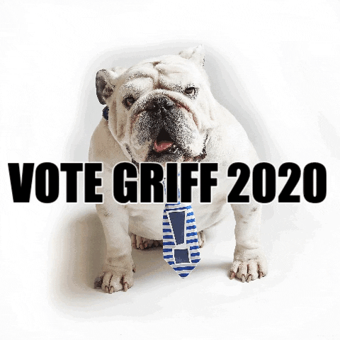 DrakeUGriff vote drake president bulldog GIF