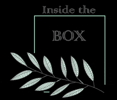 Randomdish box insidethebox GIF