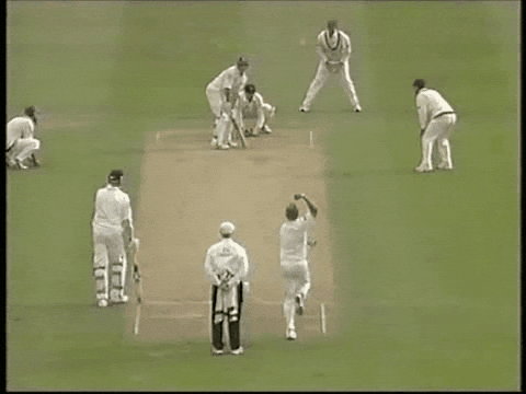 cricket