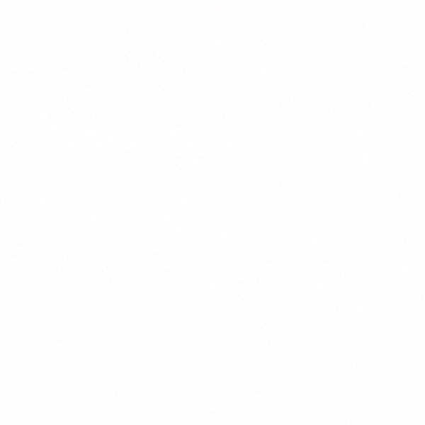 La Bottega Clandestina GIF