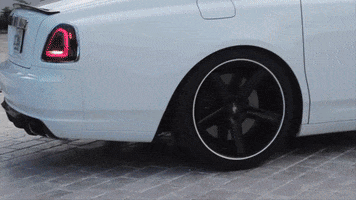 Model GIF