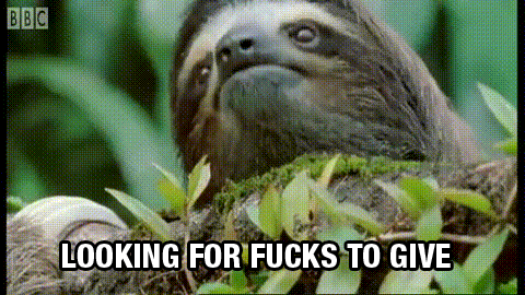  sloth look at all the fucks i give look at all the fuck i give GIF