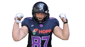 Celebrating Sticker by Venom Lilienthal