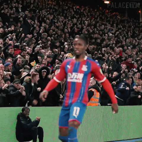 Crystal Palace Sport GIF by CPFC