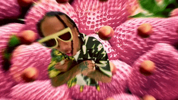 Tyga GIF by Doja Cat