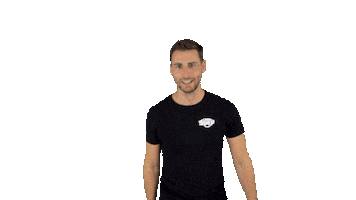 Dj Carnaval Sticker by LINKESOEP