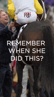 200.gif?cid=fc005b08ab44933f340045c401b7bdb0209e12b5bda13a37&rid=200.gif&ct=g