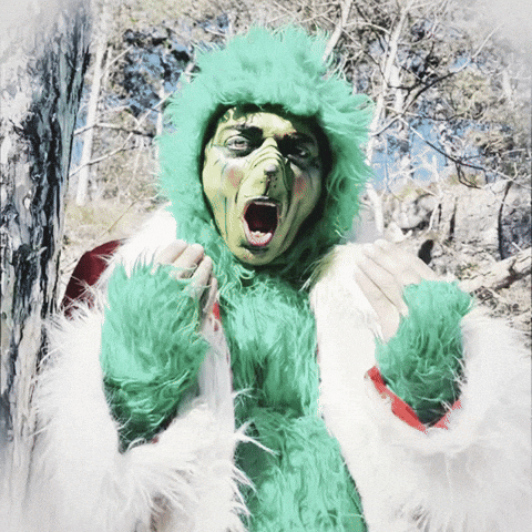 Merry Christmas Grinch GIF by Nespolo Giullare