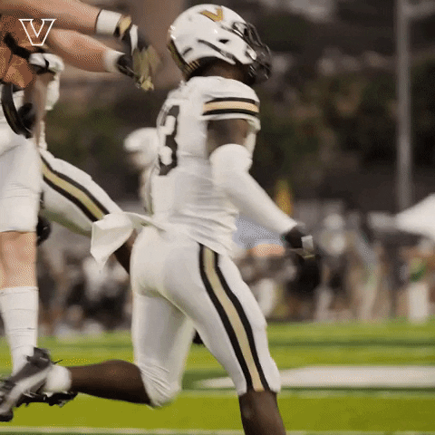Celebrate College Football GIF by Vanderbilt Athletics