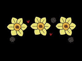 GIF by Cartrefclyd