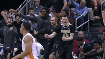 Excited Lets Go GIF by Purdue Sports