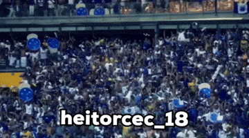 Cruzeiro Omaiordeminas GIF