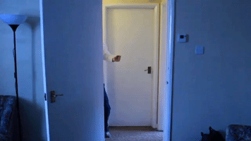 Chaz Actually GIF by nakedwines.com