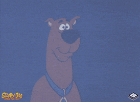 scooby doo hello GIF by Boomerang Official