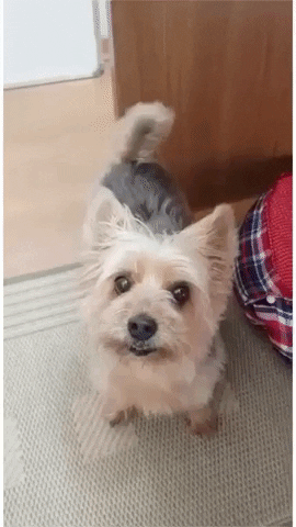 Cleo Pracaes GIF by Cabide Filmes