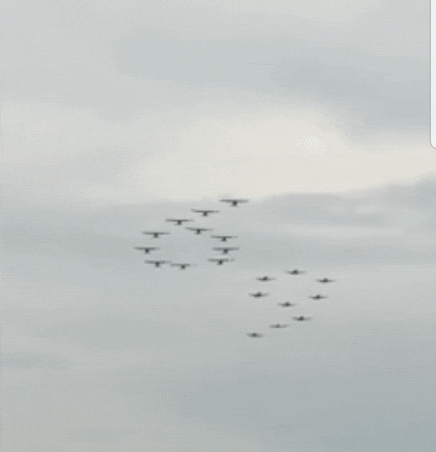 Air Force Planes GIF - Find & Share on GIPHY