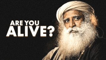Are You Alive Youtube GIF