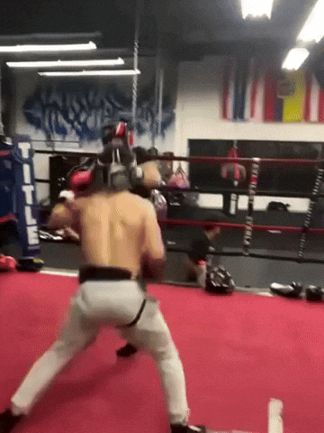 Soothsayer The Institution GIF