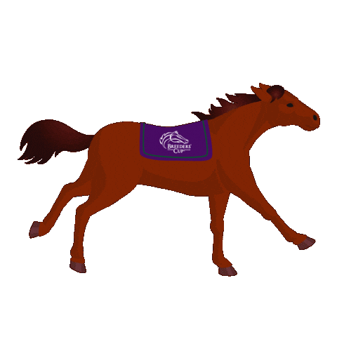 Horse Racing Running Sticker by Breeders' Cup World Championships
