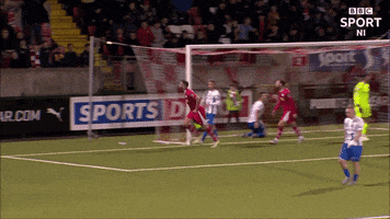 Celebration Fans GIF by Cliftonville Football Club