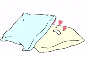Pillow Cushion GIF