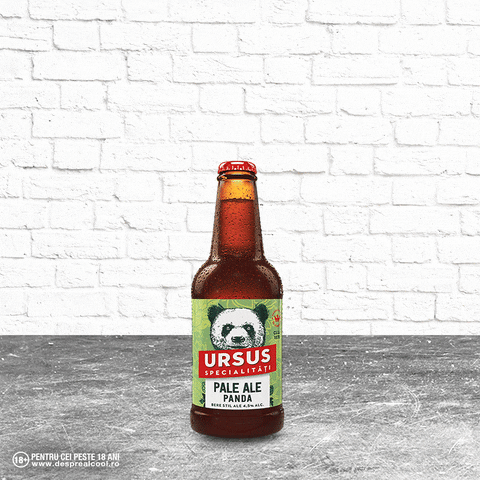 Beer GIF by URSUS ROMANIA
