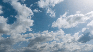 GIF by Celergen