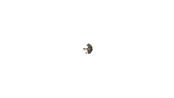 Oscargifs Sticker by ohanahomeservices