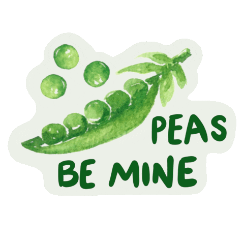 Scriptsstyleco Sticker