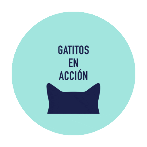 gatitosenaccion Sticker
