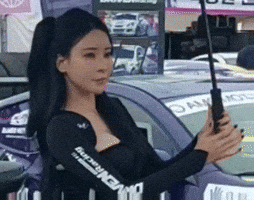 Model GIF