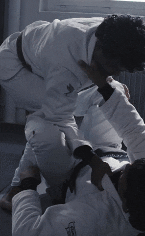 Plumakmno-Brand GIF