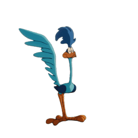 Looney Tunes Roadrunner Sticker by Coyote vs. ACME