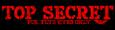 Flygirls GIF by Black Flys