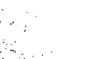 Nicole Sticker by Alex Filson Aesthetics