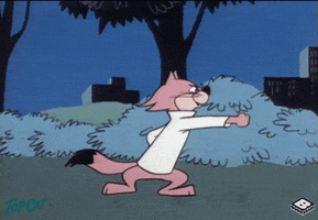 ready to fight top cat GIF