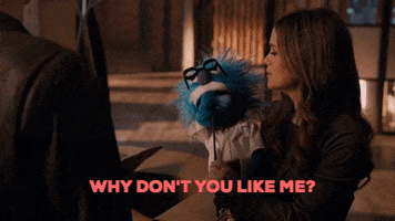 Why Dont You Like Me Rachel Bilson GIF by ABC Network