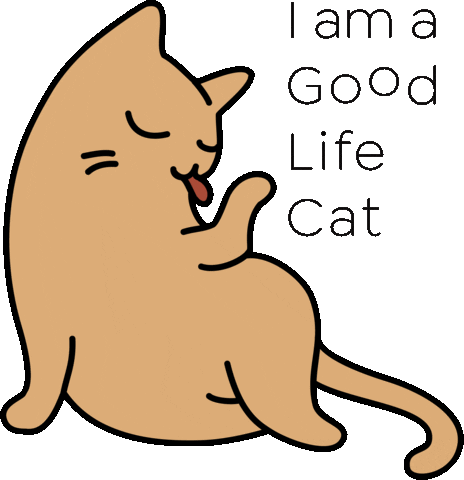Good Life Cat Sticker