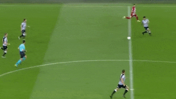 GIF by PAOK FC