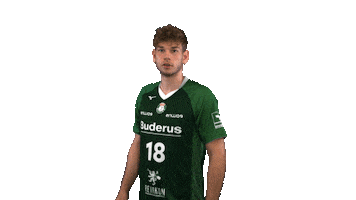 Swipe Up Handball-Bundesliga Sticker by HSG Wetzlar